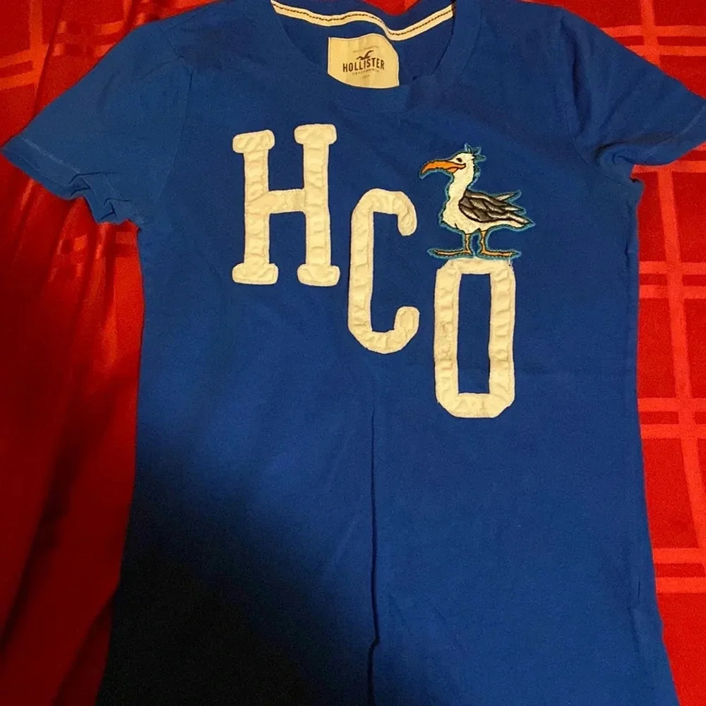 Vintage Hollister T-shirt blue size M